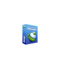 Internet Download Manager 2024