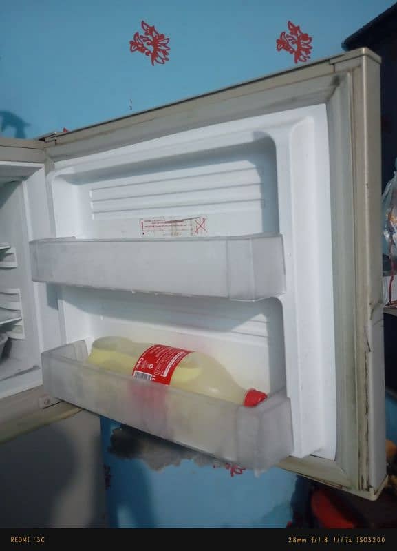 Pel Refrigerator 7