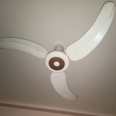 ROYAL CEILING FAN FOR SALE