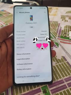 Samsung Galaxy A51