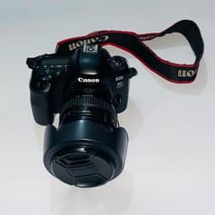 Canon 6D Mark II With Canon 24-105 4L Is I