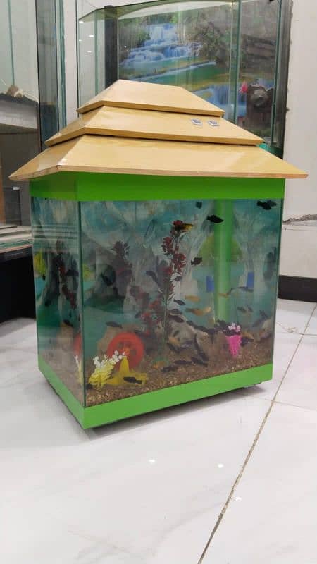 Greenie Aquarium 1