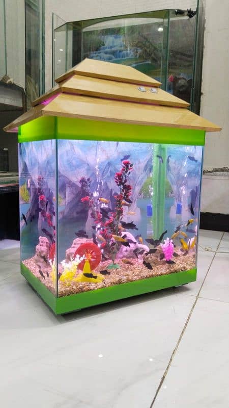 Greenie Aquarium 2