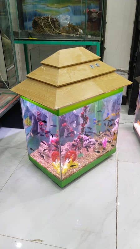 Greenie Aquarium 4