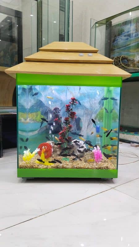 Greenie Aquarium 5