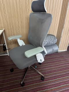 Ergonomic Chair few days Used