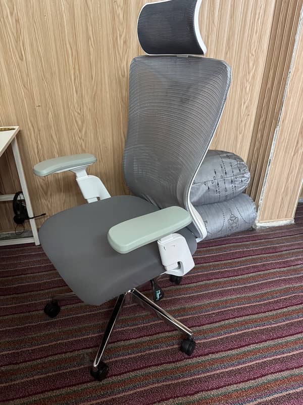 Ergonomic Chair few days Used 0