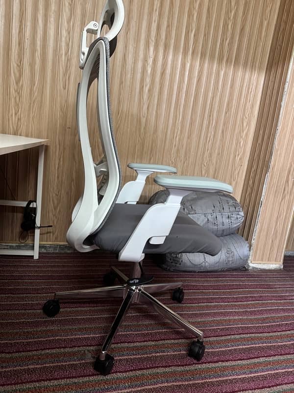 Ergonomic Chair few days Used 3