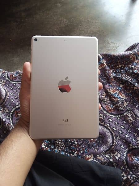 Apple ipad mini 5 1