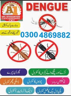 pest control services | fumigation & fogging | termite , deemak dengu