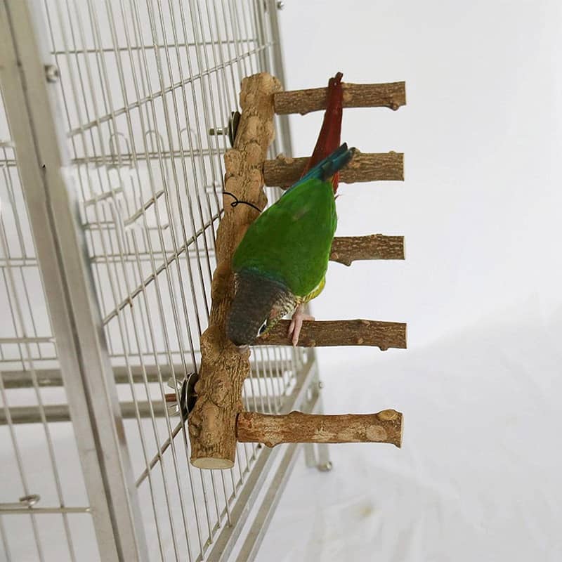 Parrot toys beautiful swings perches natural wooden and Iron stands 15