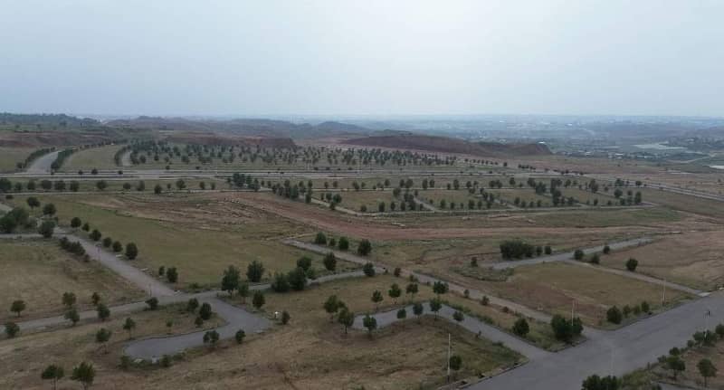 Oleander 8 Marla Plot || Open File || For Sale 2