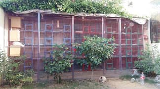 Cage Colony Heavy 15X4X8 for Birds 0