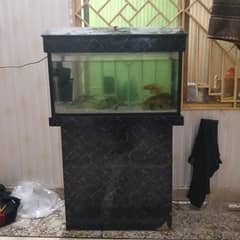 Fish Aquarium