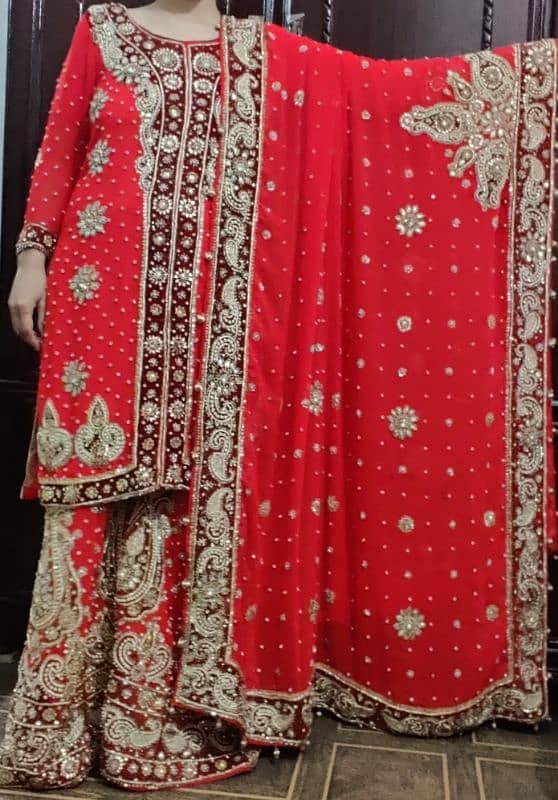 Bridal Lehnga (Sharara), Wedding dress 0