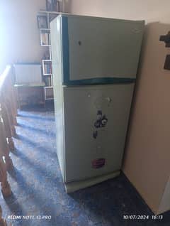 Singer Standing Fridge + Freezer (used)