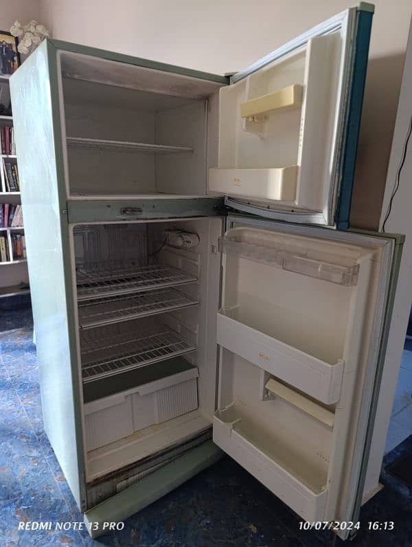 Singer Standing Fridge + Freezer (used) 3