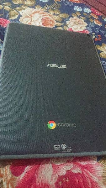 Asus touch chromebook PUBG Beast 5