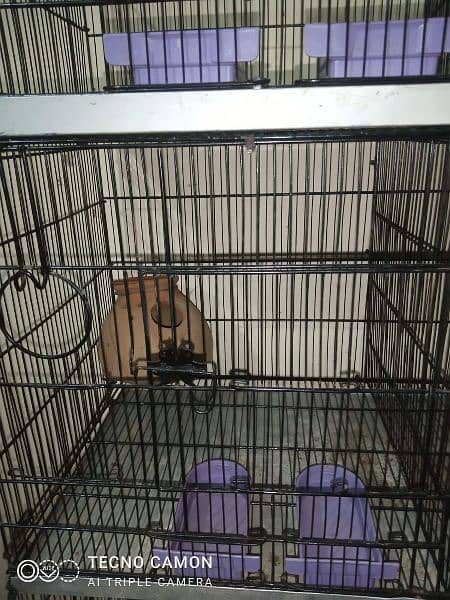 8 portion bird cage for sale like new 6