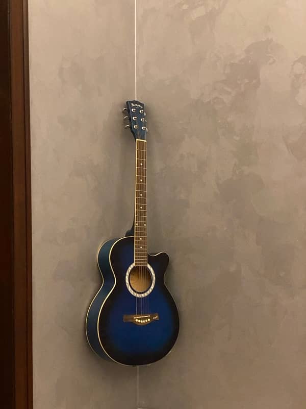 Blue guitar 1