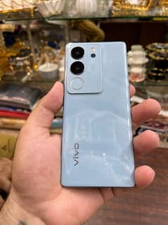 vivo