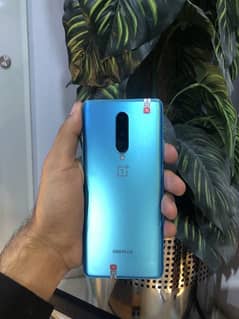 oneplus 8