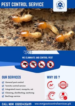 Termite Control - Pest Control- Deemak control services