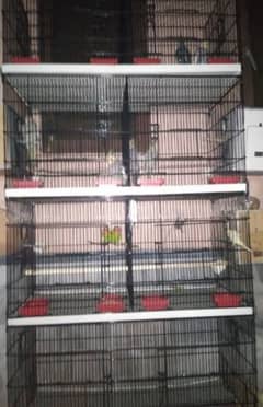 8 portion Cages