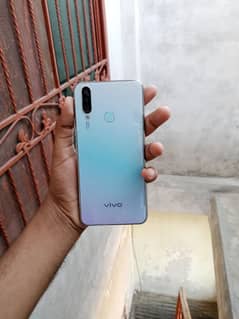 Vivo