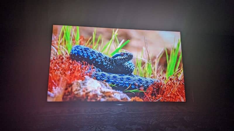 Sony bravia 50 inches smart led tv 6