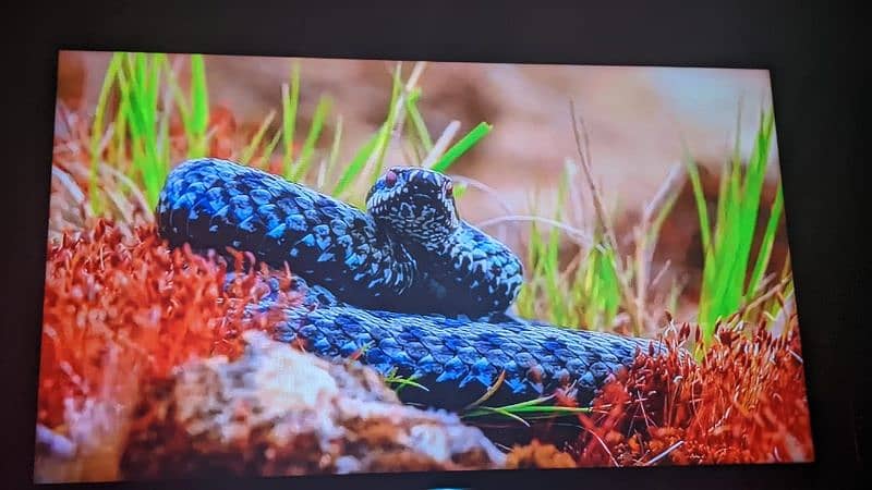 Sony bravia 50 inches smart led tv 8