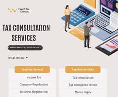 Tax Returns, Company/Business Registration etc 0