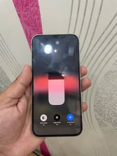 iphone 12 pro max pta approved