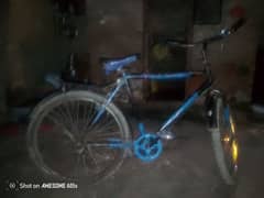 cycle saaf halat 03302417175 0