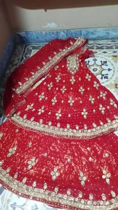 bridal lehnga fresh red color in new condition 0