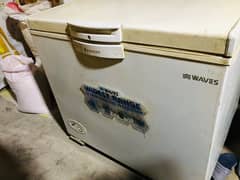 Waves Single door Deep freezer up for sale. - Freezers