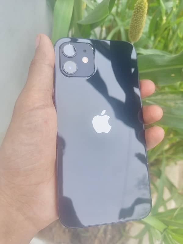 Iphone 12 Non PTA jv 0