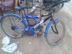 cycle for sale