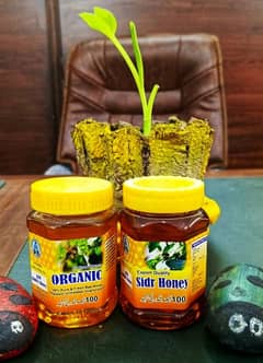 Pure Jangli Organic Honey, Muree