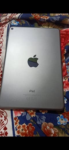 iPad mini 5 0