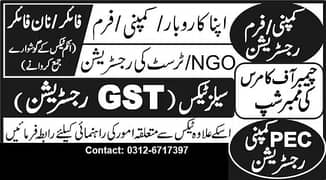 NTN GST FILER TAX RETURN AUDIT COMPANY AOP IMPORT EXPORT REGISTRATION