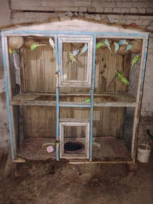 Birds Cage 1