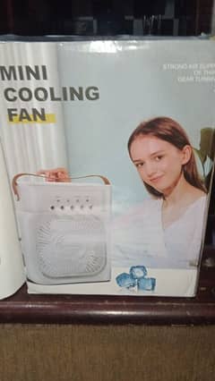 portable cooling fan