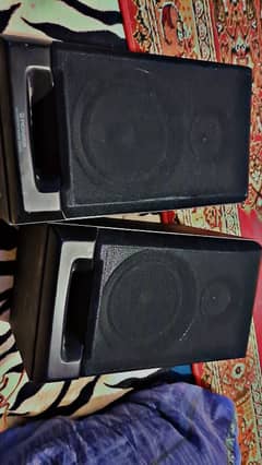 Pioneer S-P320 Extended Bass Speakers