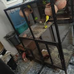 Cage For Sale With 12 Australian Birds