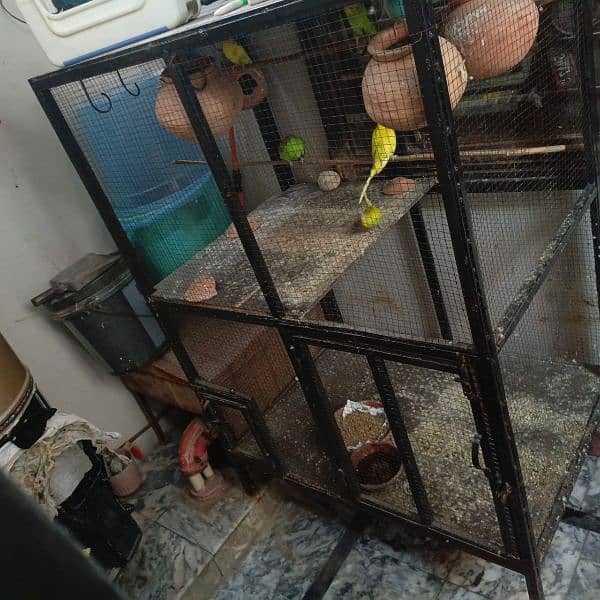 Cage For Sale With 12 Australian Birds 0