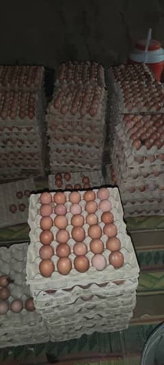 organic low min brown Eggs available per egg25/-petty 360Eggs 9000/- 0