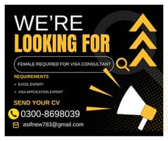 Required Female  visa consultant expert 0