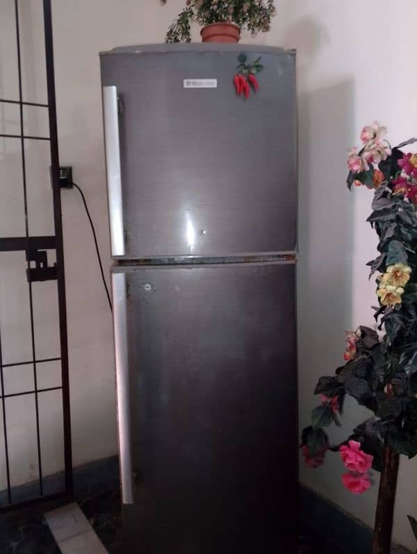 Electrolux fridge 1