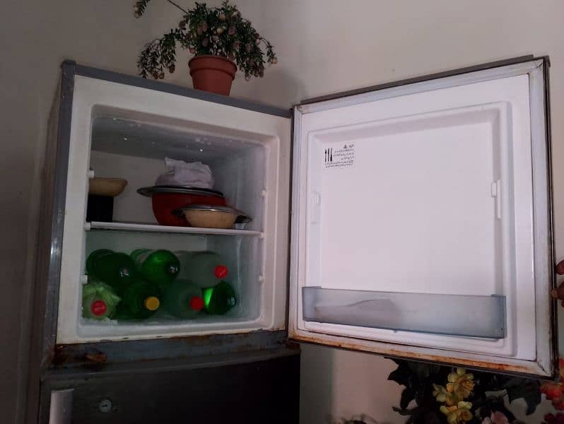 Electrolux fridge 3